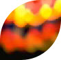 wpe57022fe_1b.jpg