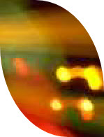 wpbba1d586_1b.jpg